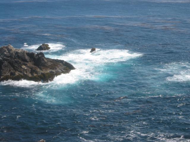 2004/06 June/Monterey Big Sur/640x480_IMG_0883.JPG